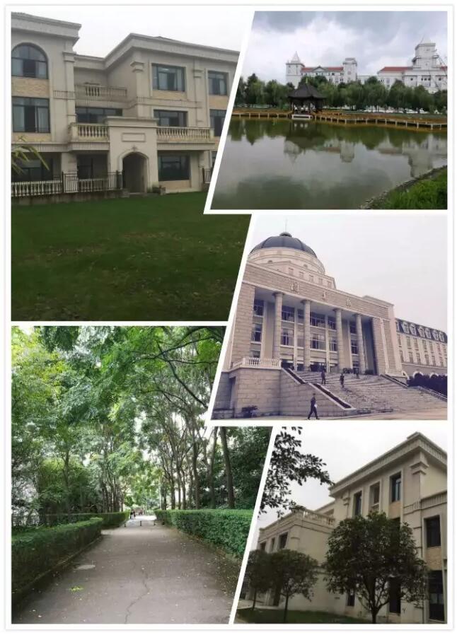 1506068995894932.jpg 110756.jpg