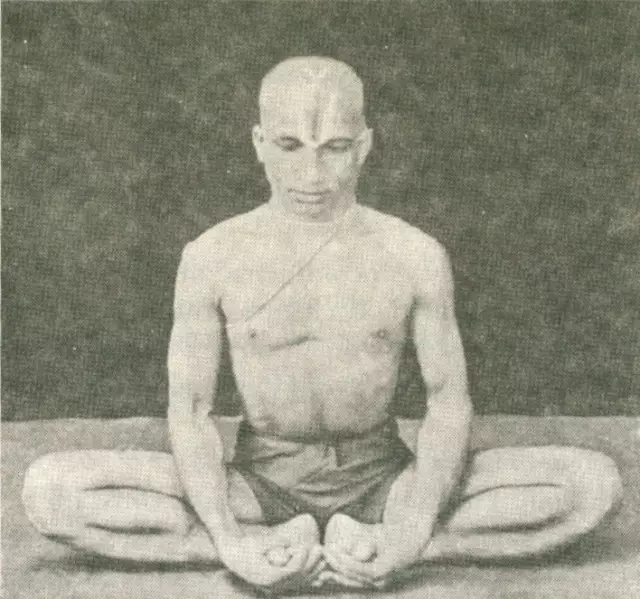 1508230188702684.jpg 640.webp (33).jpg