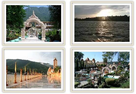 1512114067907834.jpg 07.jpg