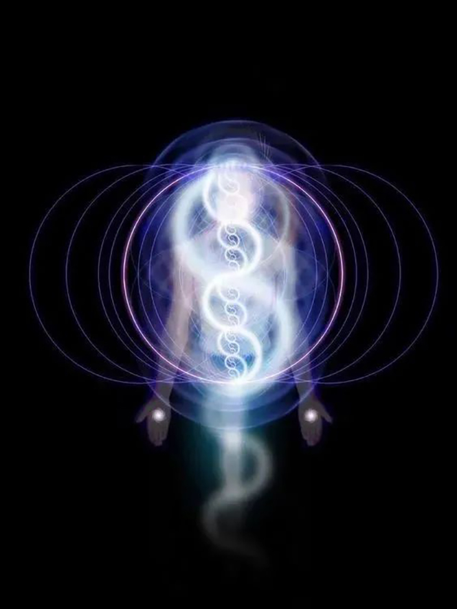 1722774025928015.jpg 10.jpg