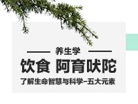 阿育吠陀养生学